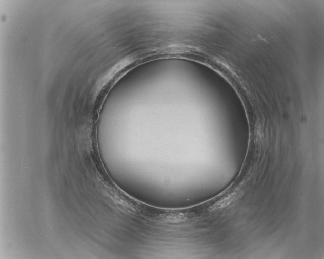 X0000060781410200511241808