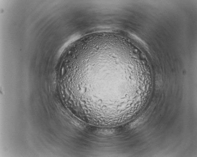 X0000060781411200511241808