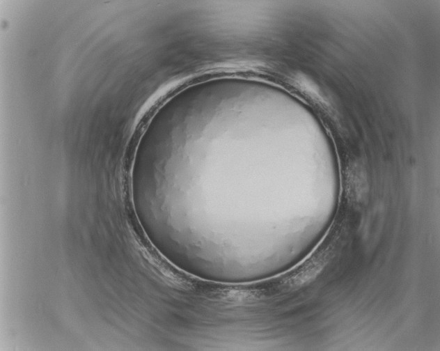 X0000060781412200511241808