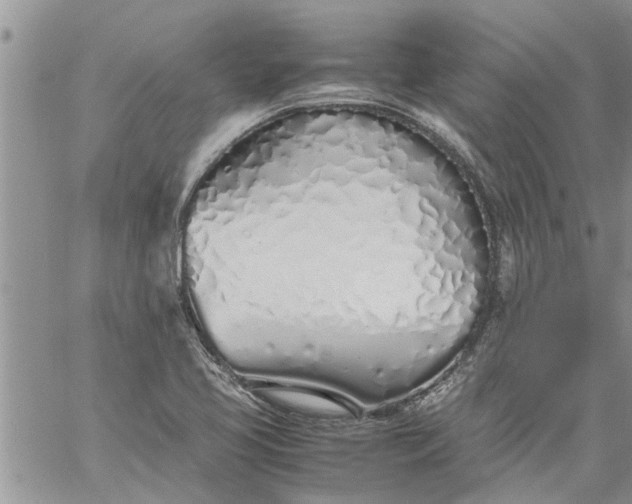 X0000060781413200511241808