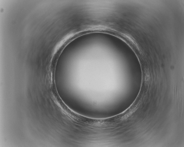 X0000060781414200511241808