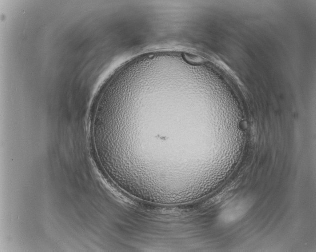 X0000060781416200511241808