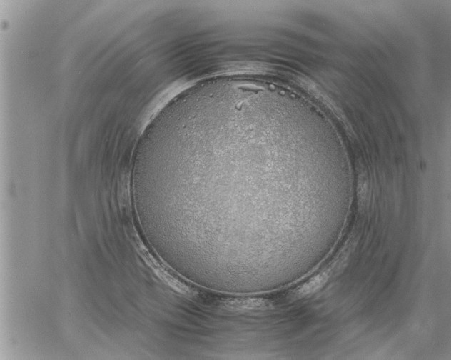 X0000060781417200511241808