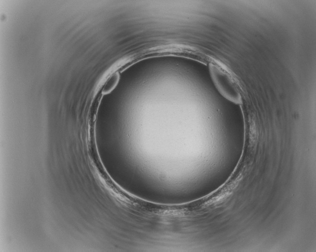 X0000060781418200511241808