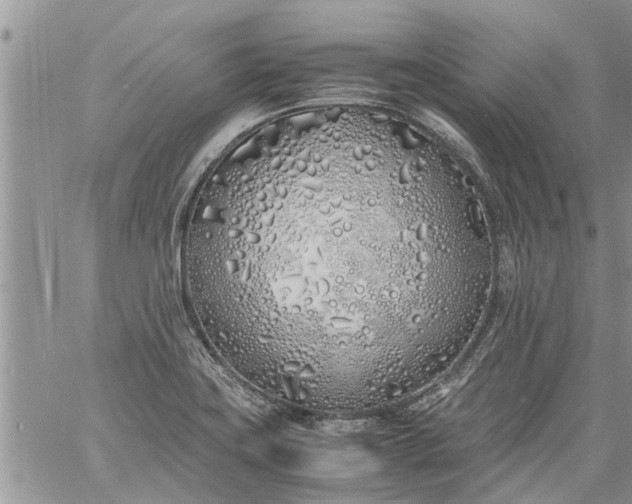 X0000060781419200511241808