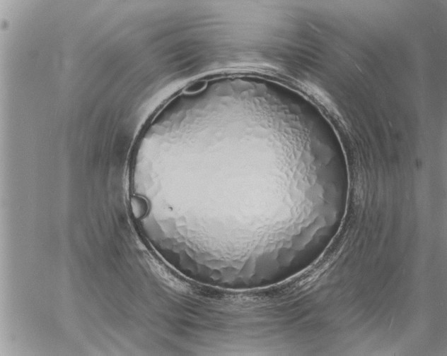 X0000060781420200511241808