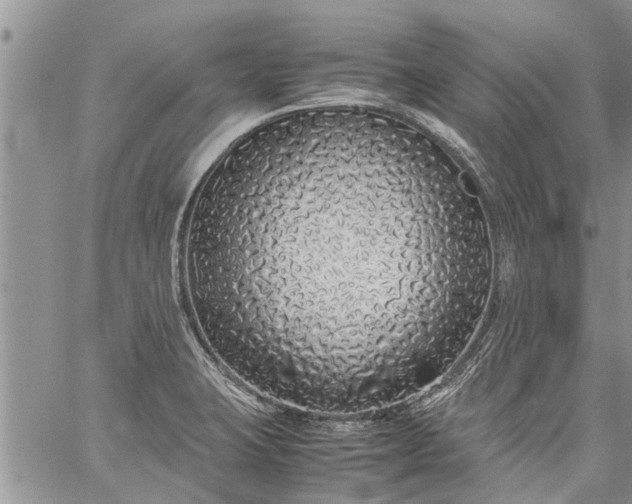 X0000060781423200511241808