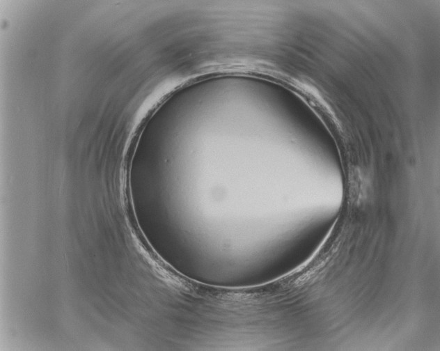 X0000060781424200511241808