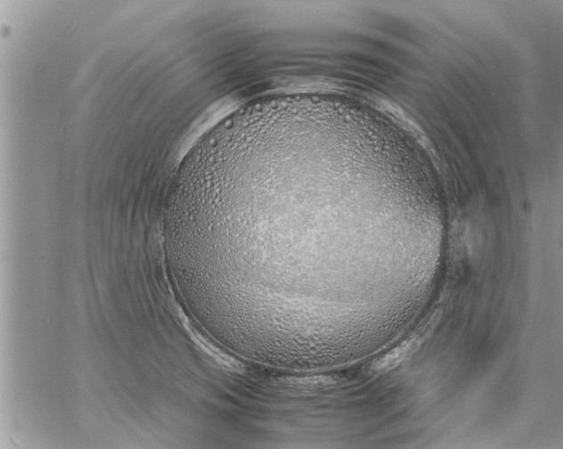 X0000060781425200511241808