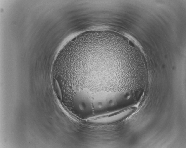 X0000060781429200511241808