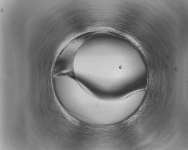 X0000060781430200511241808