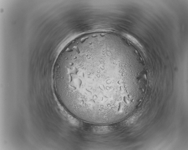 X0000060781431200511241808