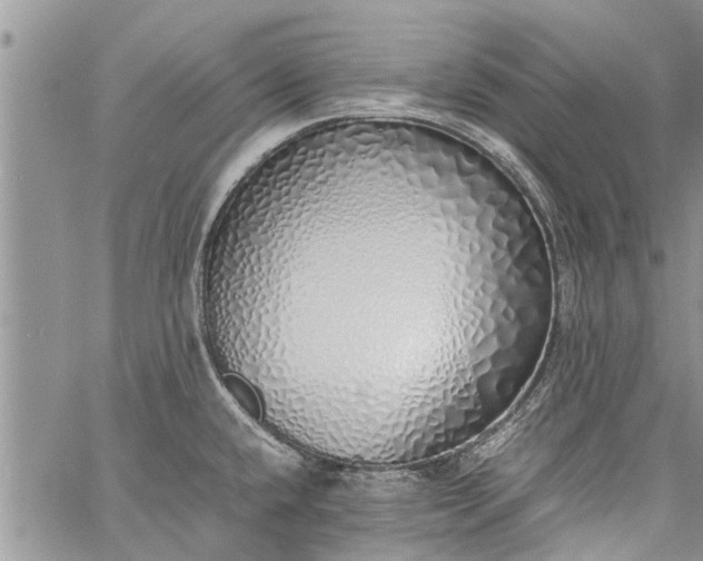 X0000060781432200511241808