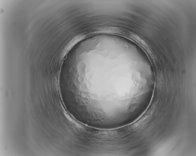 X0000060781433200511241808