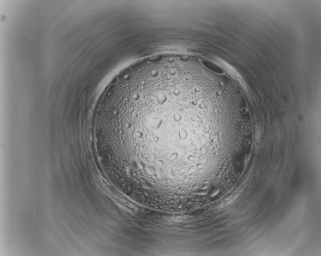 X0000060781435200511241808