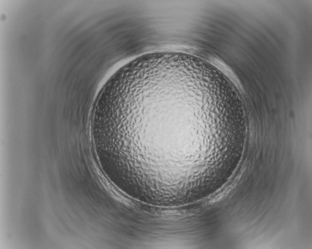 X0000060781436200511241808