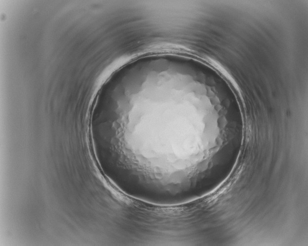 X0000060781437200511241808