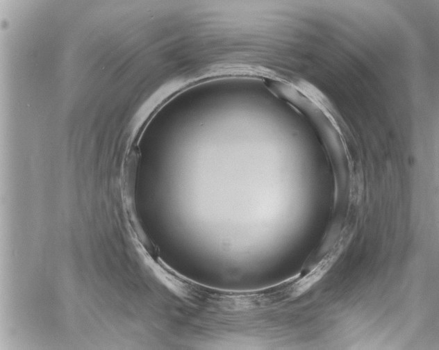 X0000060781438200511241808