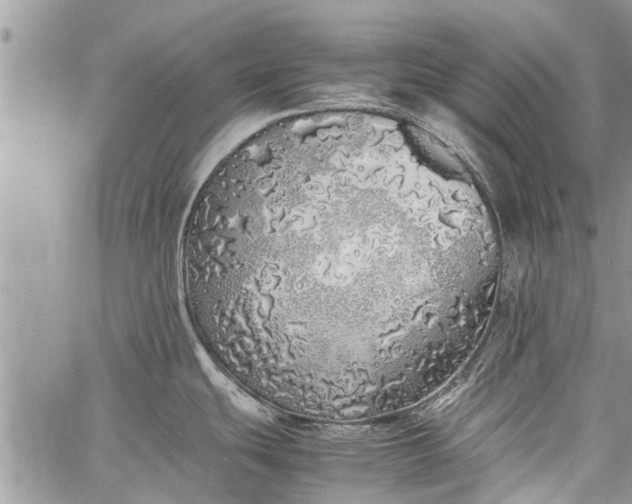 X0000060781439200511241808