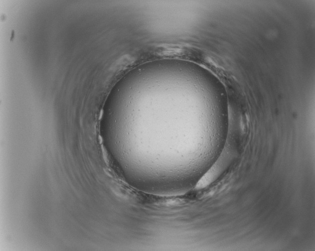 X0000060781441200511241807