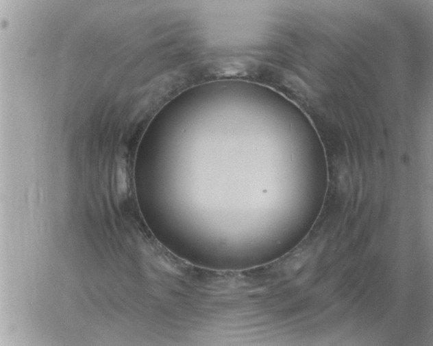 X0000060781442200511241807