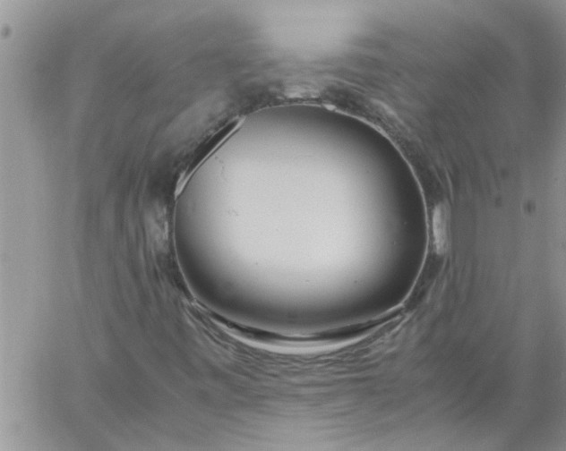 X0000060781443200511241807