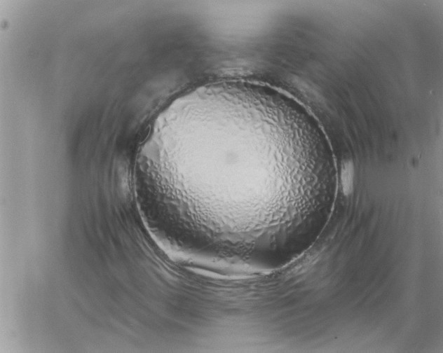 X0000060781444200511241807