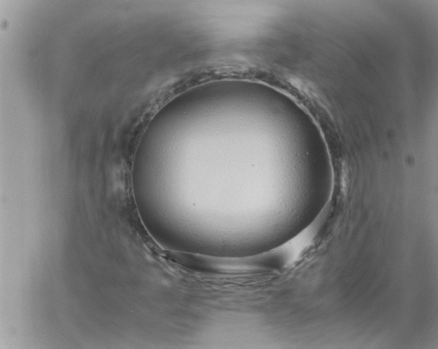 X0000060781445200511241807