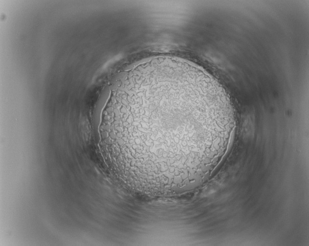 X0000060781446200511241807