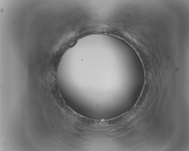 X0000060781447200511241807