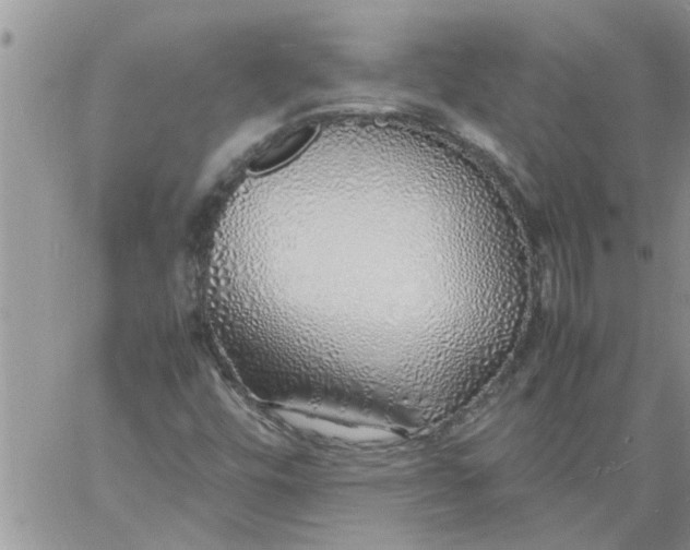 X0000060781448200511241807