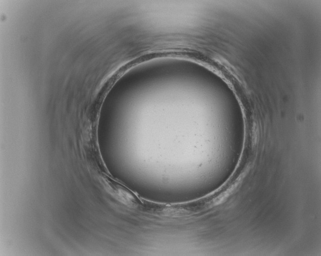 X0000060781449200511241807