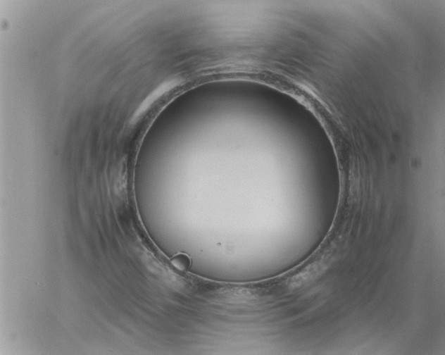 X0000060781450200511241807