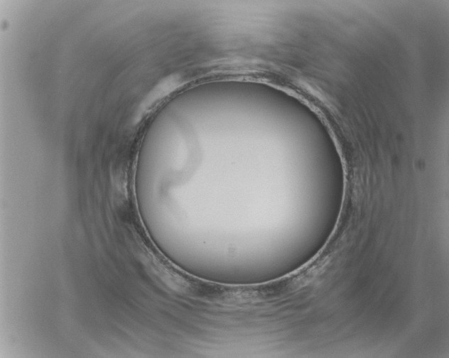 X0000060781451200511241807