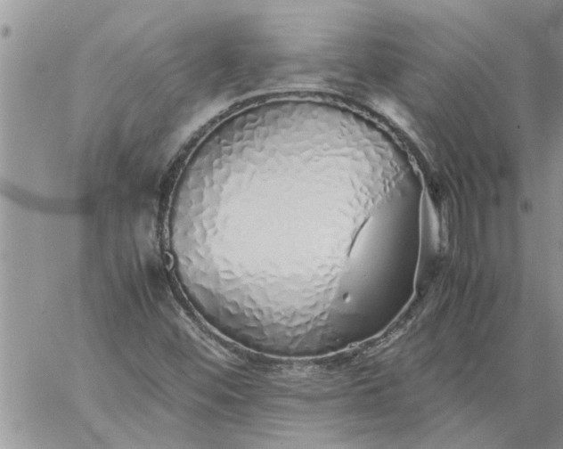 X0000060781452200511241807