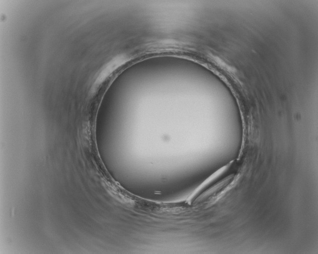 X0000060781453200511241807