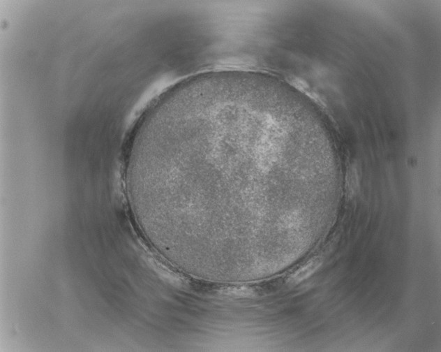 X0000060781454200511241807