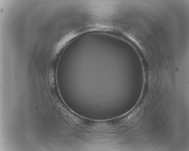 X0000060781455200511241807