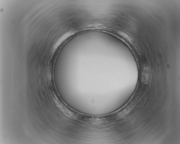 X0000060781458200511241807