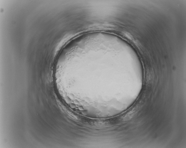 X0000060781459200511241807