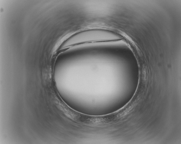 X0000060781461200511241807