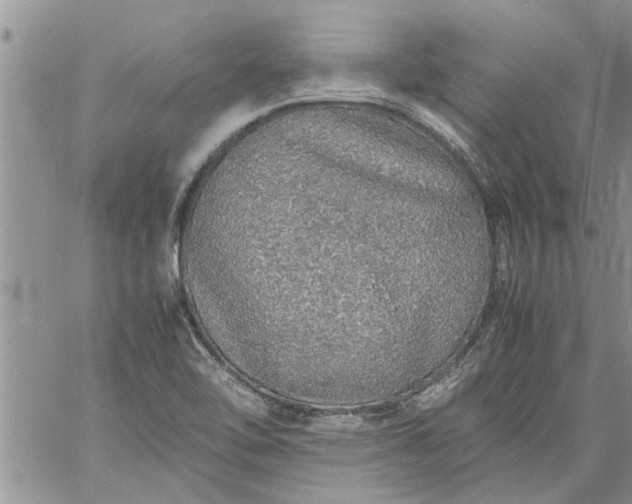 X0000060781462200511241807