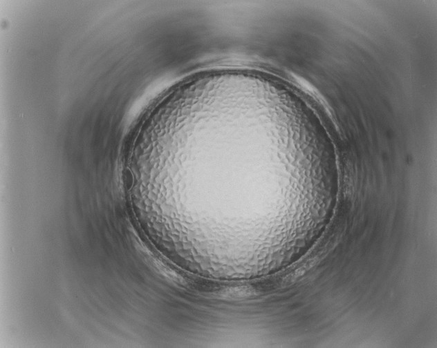 X0000060781464200511241807