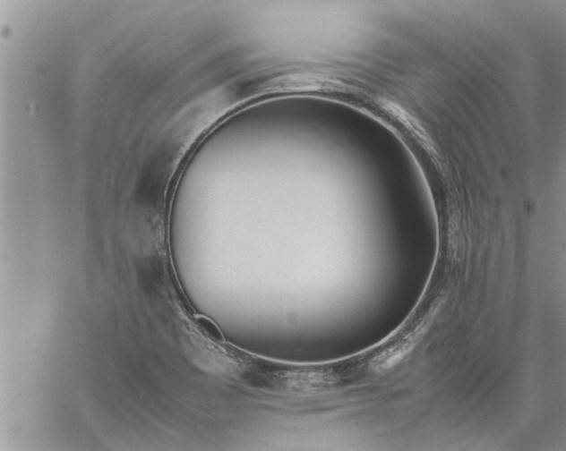 X0000060781465200511241807