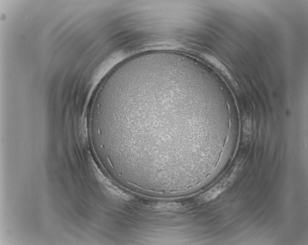 X0000060781466200511241807