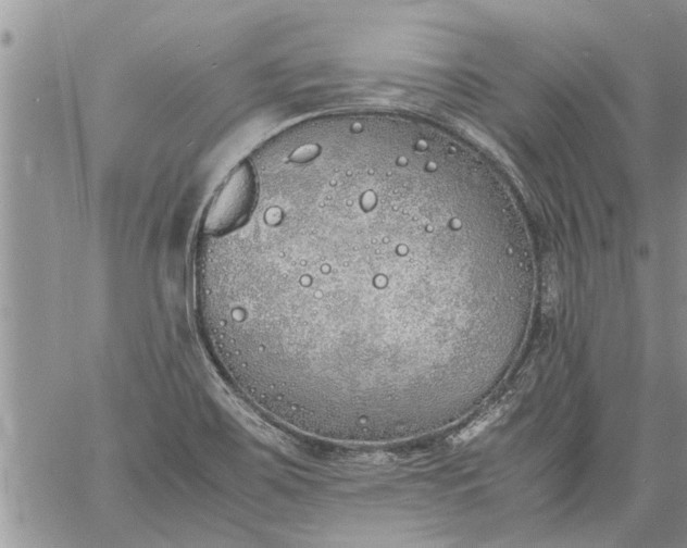 X0000060781467200511241807