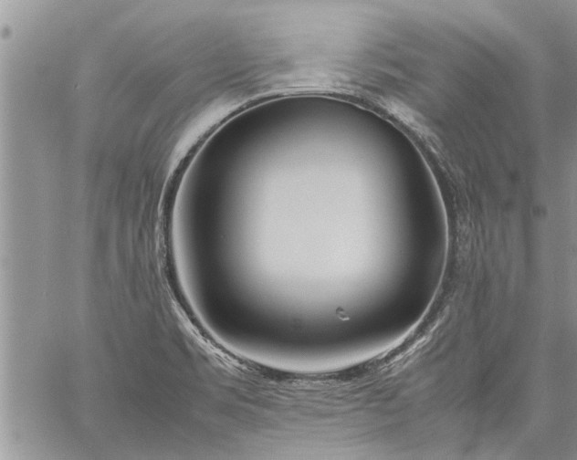 X0000060781469200511241807