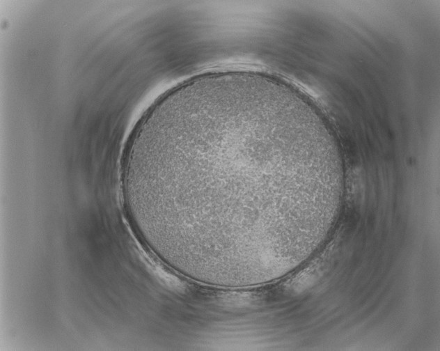 X0000060781470200511241807