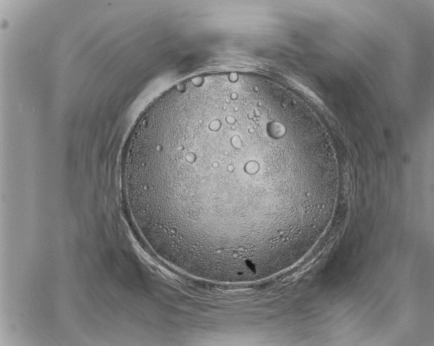 X0000060781471200511241807