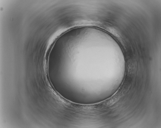 X0000060781472200511241807